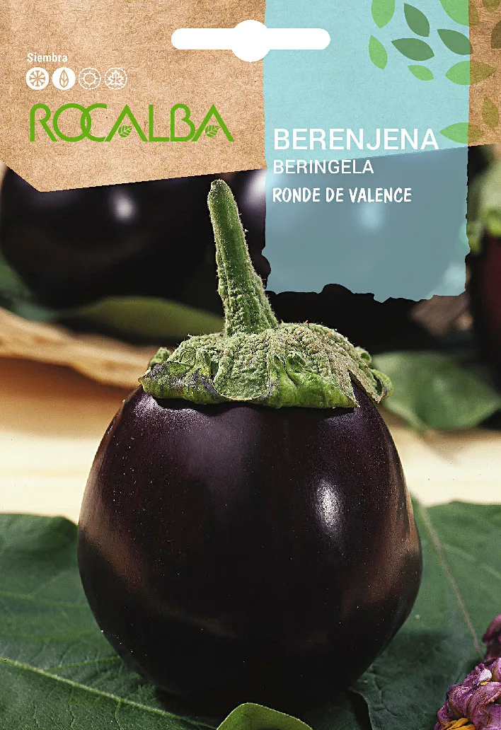 Semilla Berenjena Ronde de Valence — foto principal