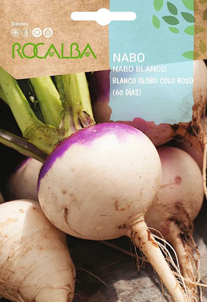 Semilla Nabo Blanco Globo Colo Roxo
