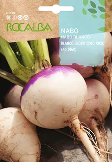 Semilla Nabo Blanco Globo Colo Roxo