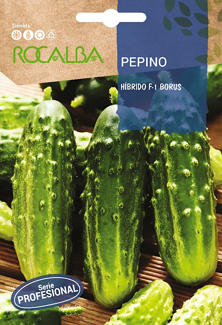 Semilla Profesional Pepino Borus F-1