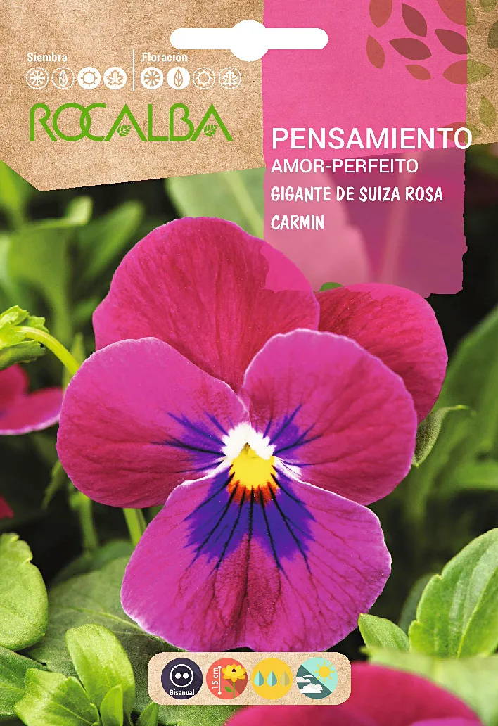 Semilla Pensamiento Gigante de Suiza, Rosa Carmin — foto principal