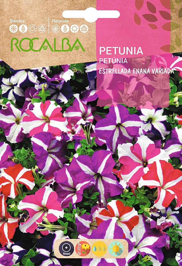 Semilla Petunia Estrellada Enana, Variada — foto principal