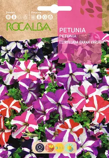 Semilla Petunia Estrellada Enana, Variada