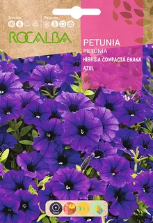 Semilla Petunia Hibrida Compacta Enana, Azul