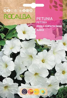 Semilla Petunia Hibrida Compacta Enana, blanca