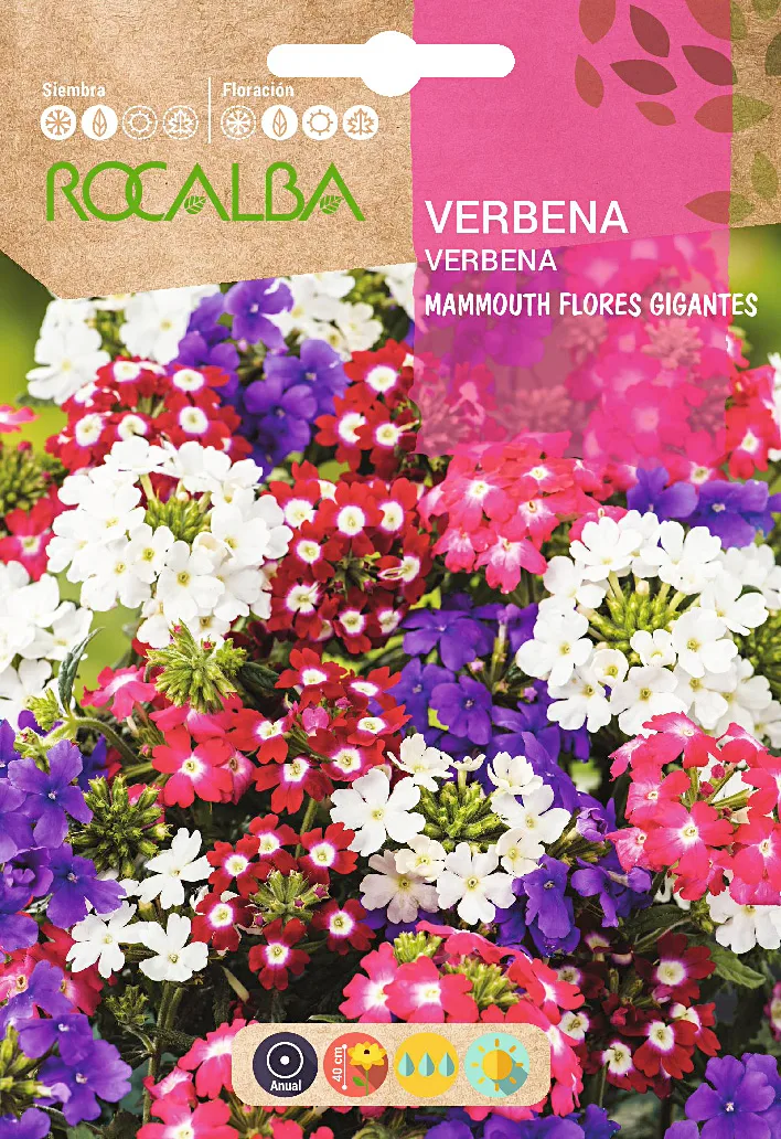 Semilla Verbena Mammouth, Flores Gigantes, Variada