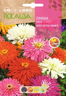 Semilla Zinia Super Cactus Gigante, Variada