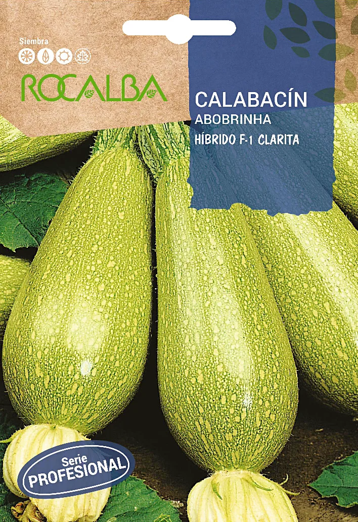 Semilla Profesional Calabacin Clarita F-1