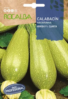 Semilla Profesional Calabacin Clarita F-1