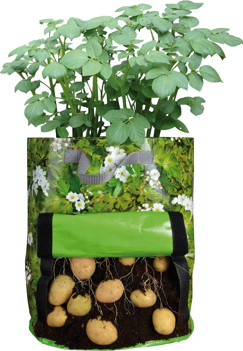Sembradora de Patatas Terraza
