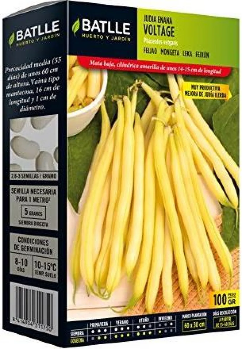Semilla Judia Enana Voltage 250 gr