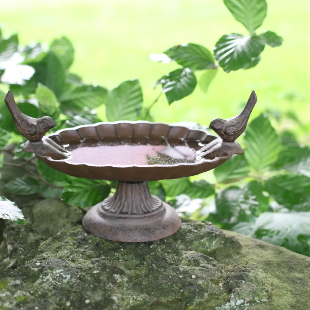 Bebedero Pajaros Pie de Hierro Fundido — foto 2
