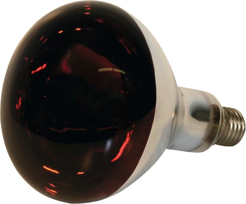 Bombilla Calor Infrarroja 150 W — foto 2