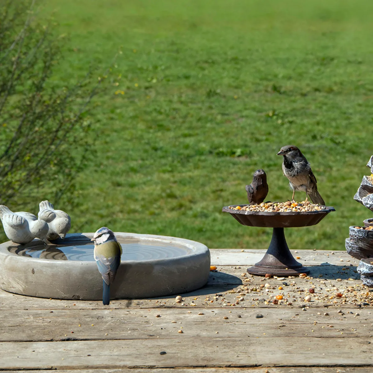 Baño de Pajaros de Hormigon L — foto 2