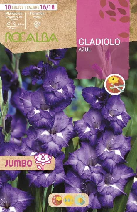 Bulbos Gladiolos Jumbo Azul — foto principal