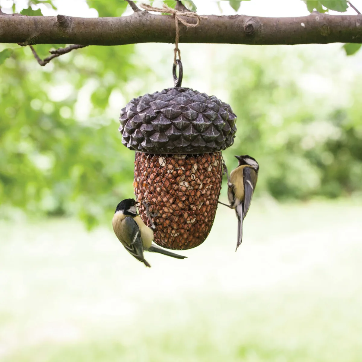 Comedero para Pajaros con Forma de Bellota — foto 7