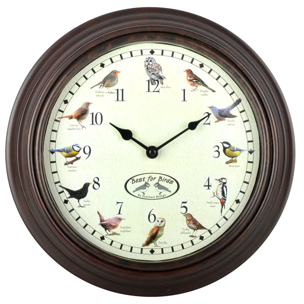 Reloj con Sonido de Pajaros