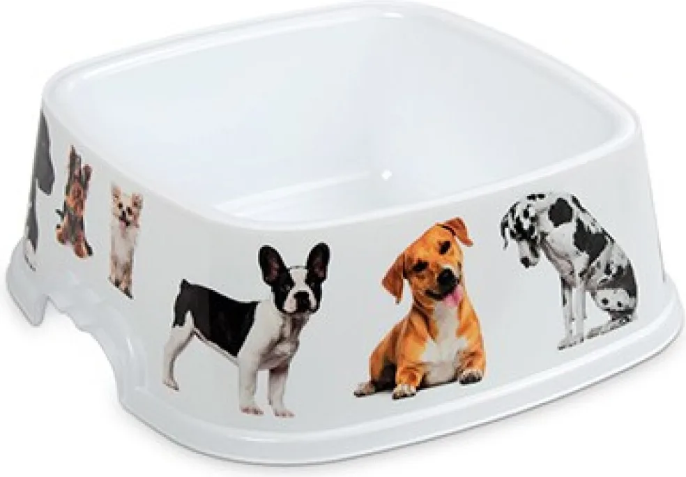Comedero Braco Cuadrado Iml Mascotas 1,6 l