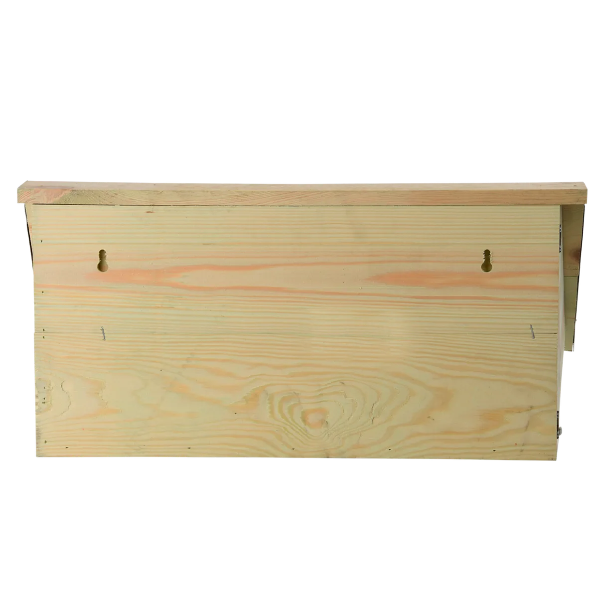 Caja Nido Vencejo Comun — foto 12