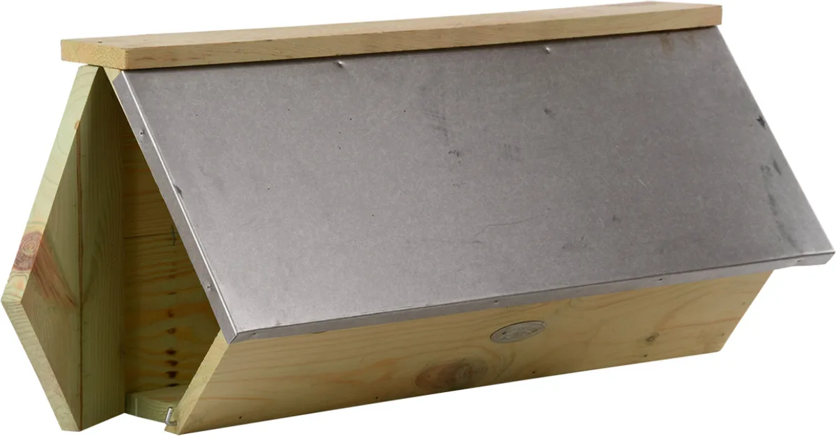 Caja Nido Vencejo Comun — foto 8