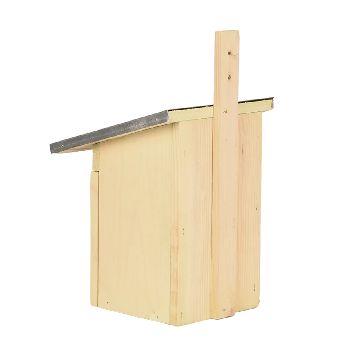 Caja Nido Carbonero — foto 9