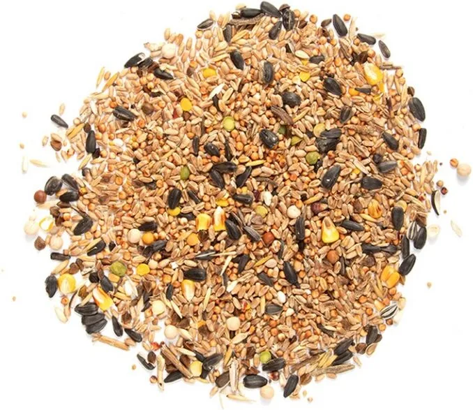 Comida Pajaros Silvestres Mezcla de Semillas 4 Estaciones — foto 3