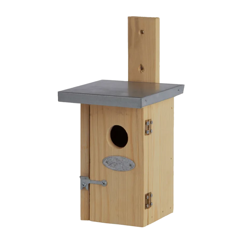 Caja Nido Pajaros Reyezuelo