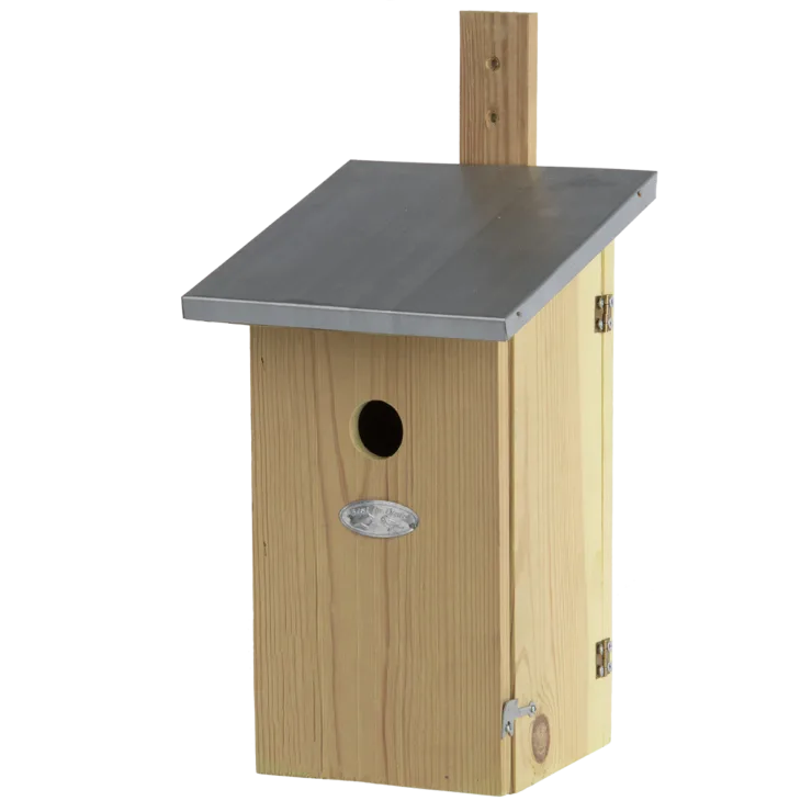 Caja Nido de Observacion