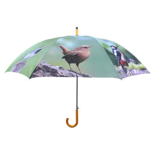 Paraguas de Pajaros