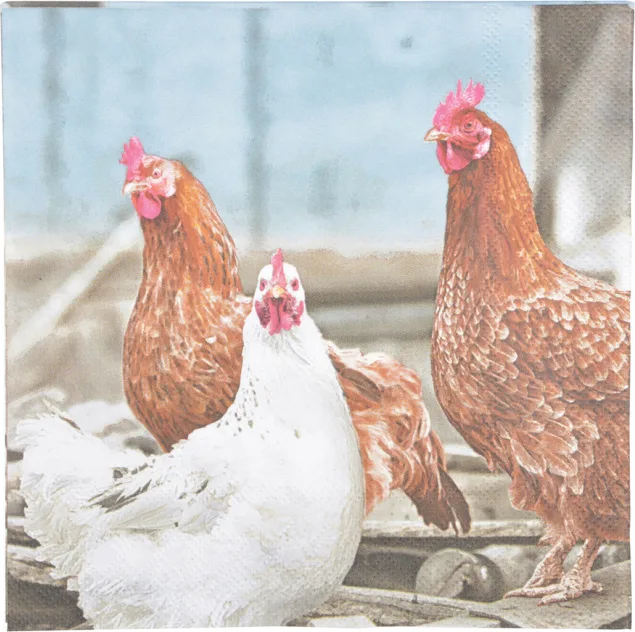 Servilletas de Papel Gallinas 33x33cm — foto 4