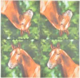 Servilletas de Papel Caballo 33x33cm — foto 3