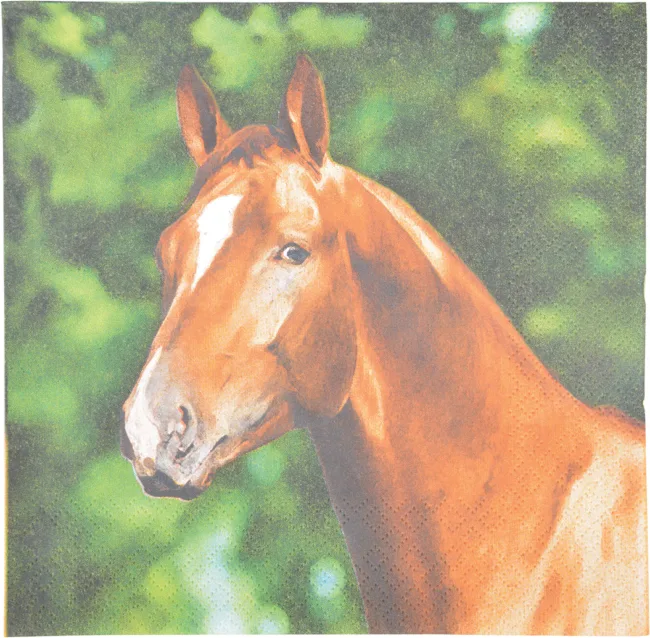 Servilletas de Papel Caballo 33x33cm — foto 2