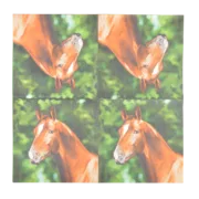 Servilletas de Papel Caballo 33x33cm — foto 6