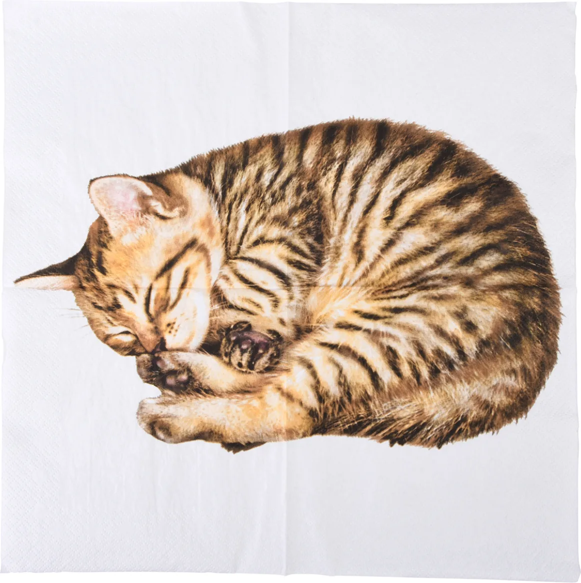 Servilleta Papel Gato 33x33 20 unidades — foto principal
