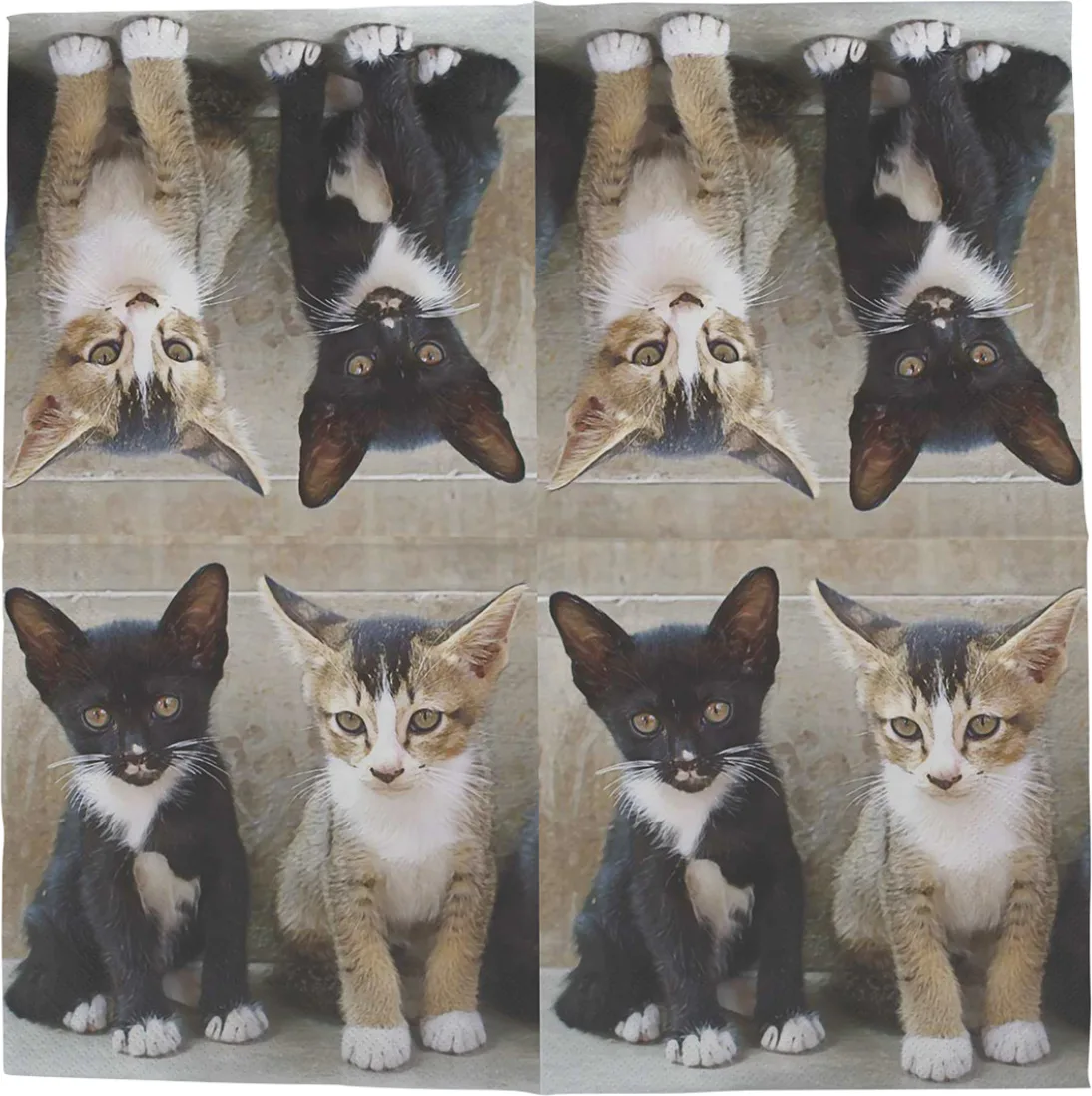 Servilleta Papel Gatitos 33x33 20 unidades — foto principal