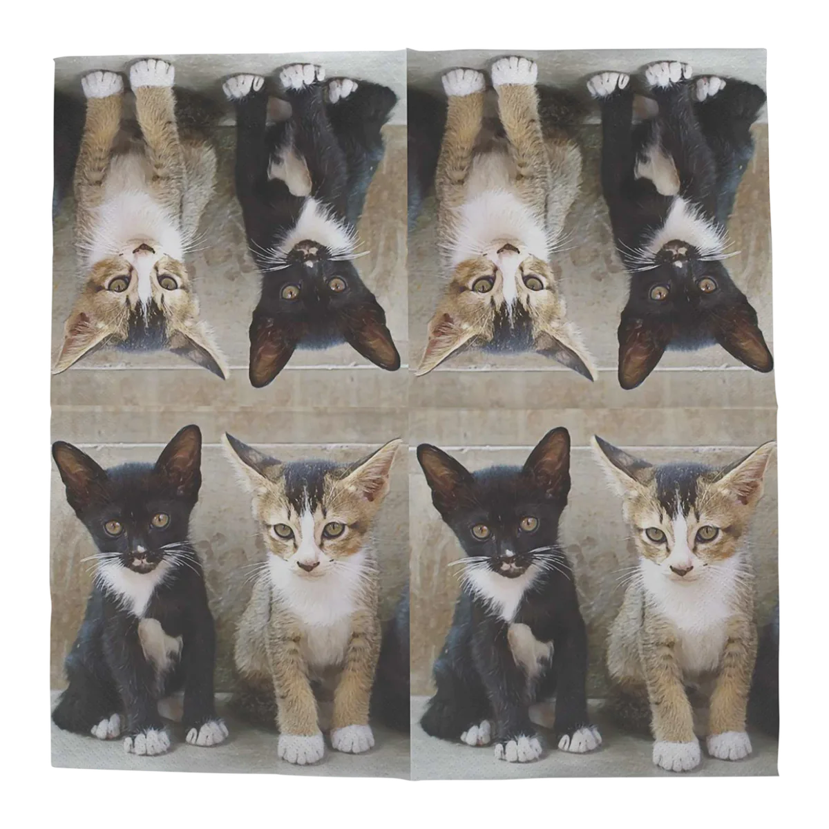 Servilleta Papel Gatitos 33x33 20 unidades