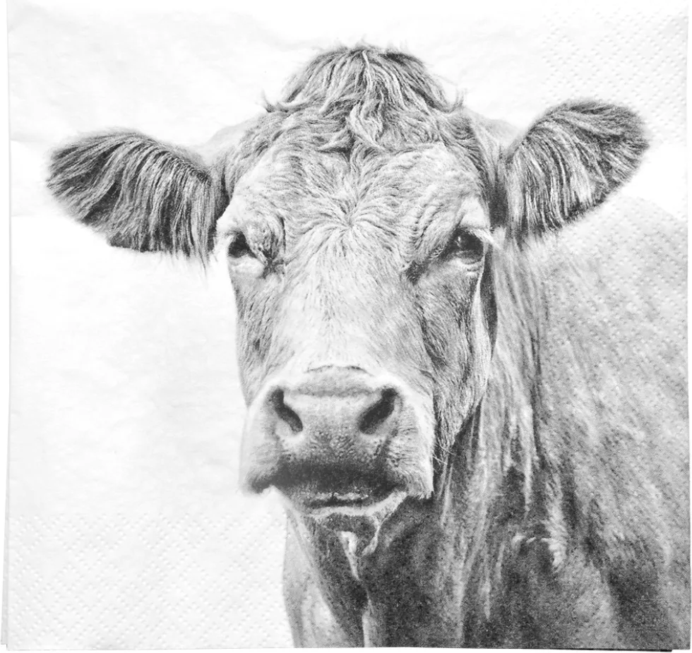 Servilletas de Papel con Animales de Granja Blanco y Negro — foto 2