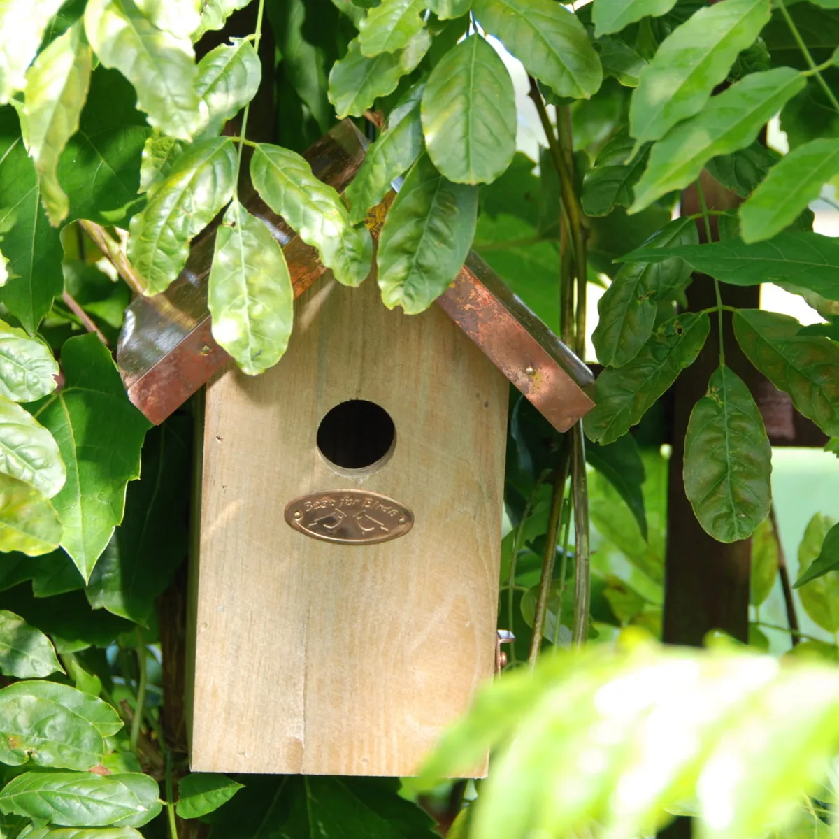 Nido Pajaros con Techo Cobre — foto 6