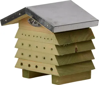 Mini Colmena Abejas