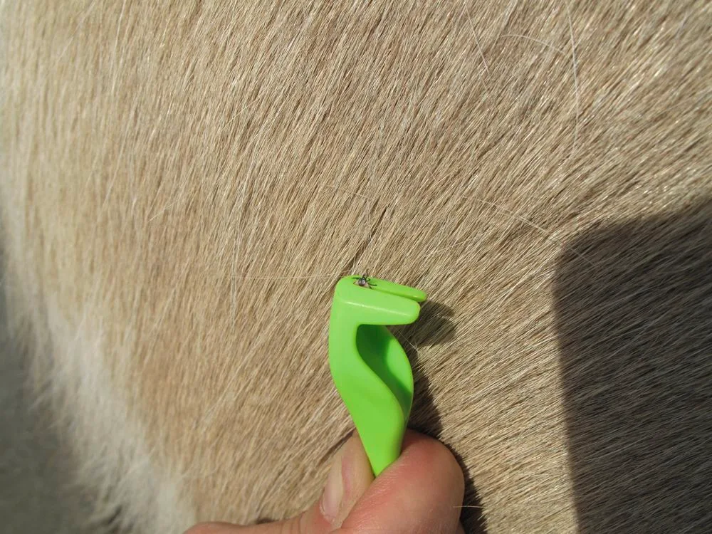 Pinzas para garrapatas Smartick® — foto 3