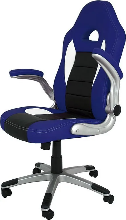 Silla Victoria con Reposabrazos Abatibles