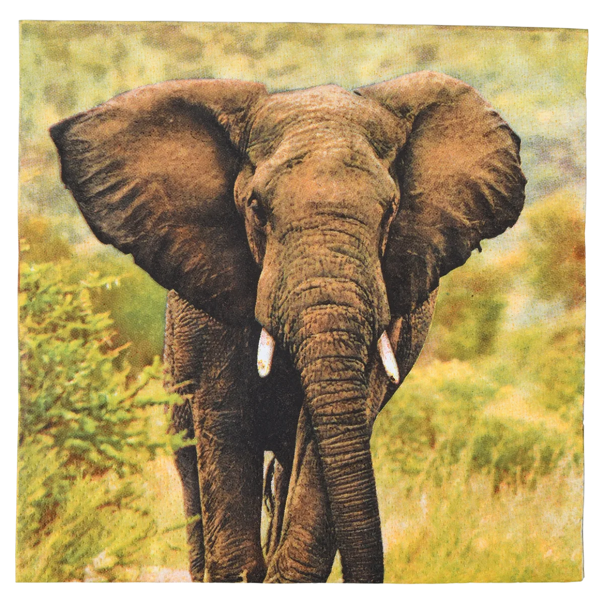 Servilletas de Papel Elefante 33x33cm — foto 4