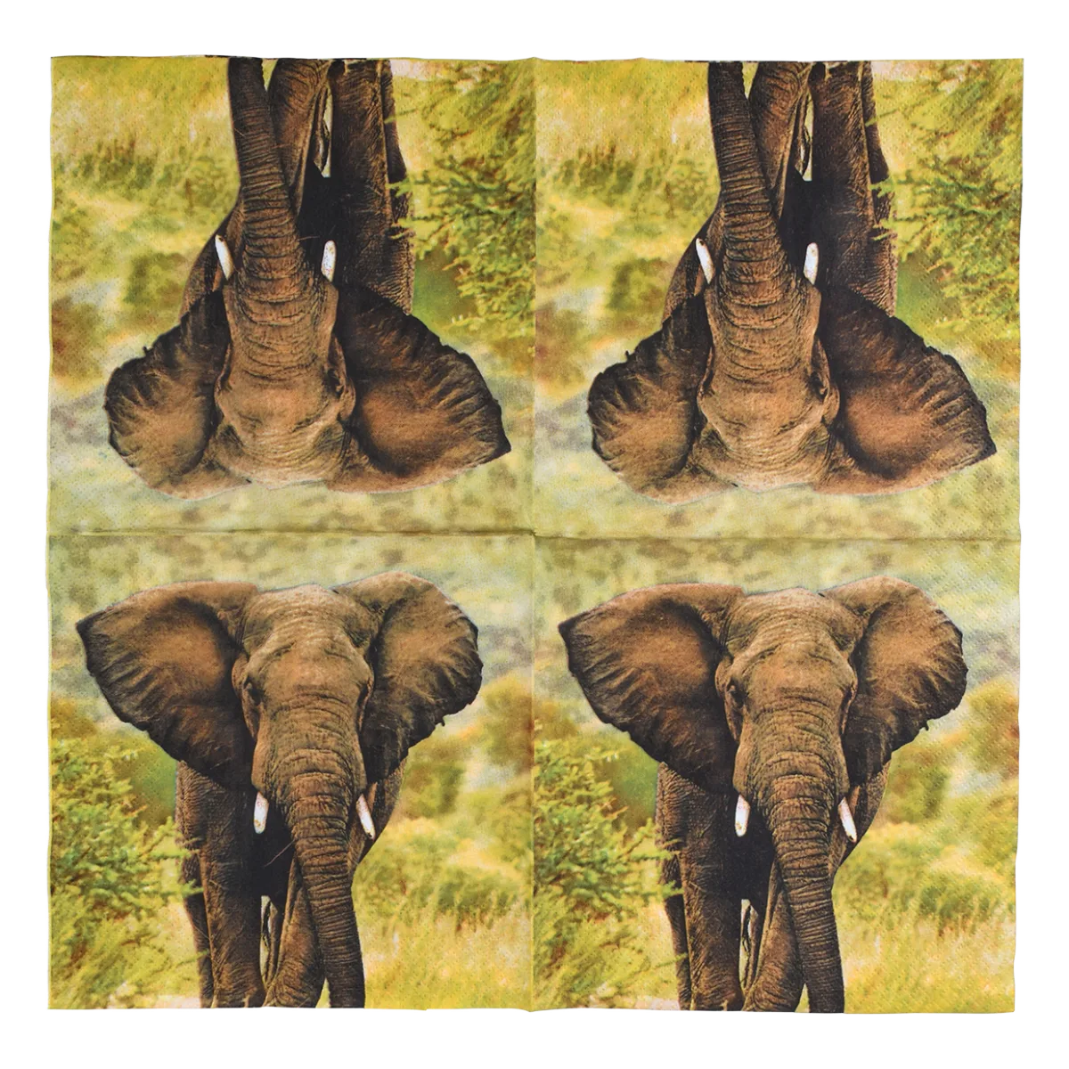 Servilletas de Papel Elefante 33x33cm — foto 5