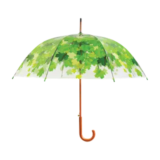 Paraguas Transparente Copa de Arbol