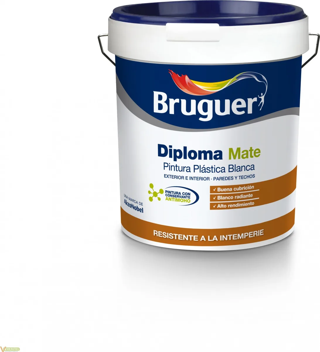 Pintura Plastica Blanco Diploma Bruguer 15L