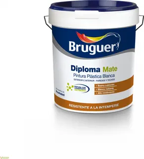 Pintura Plastica Blanco Diploma Bruguer 15L