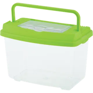 Caja de Estudio de Insectos