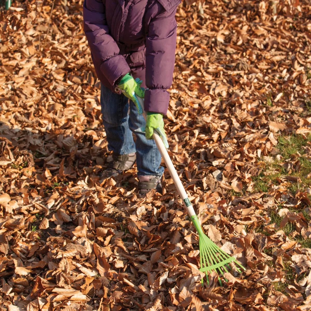 Rastrillo de Cesped  Kids Juguete Verde — foto 2