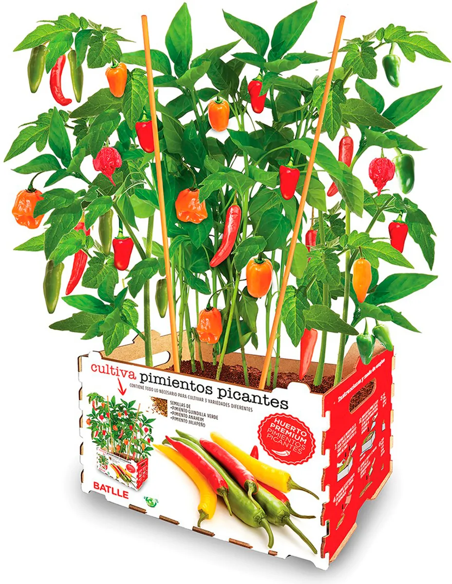 Kit Huerto Batlle Premium Pimientos Picantes — foto 2