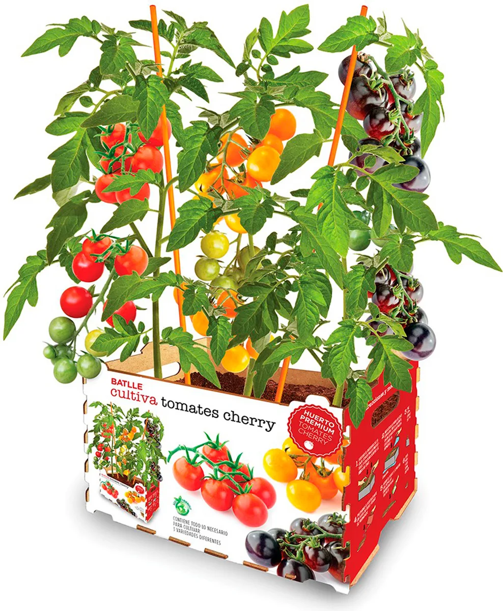 Kit Huerto Batlle Premium Tomates Cherry — foto 2